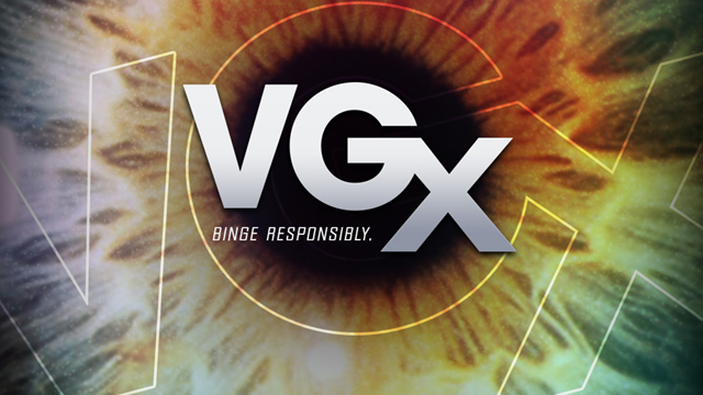 VGX 2013
