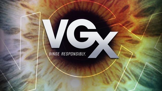 VGX 2013 VGX 2013