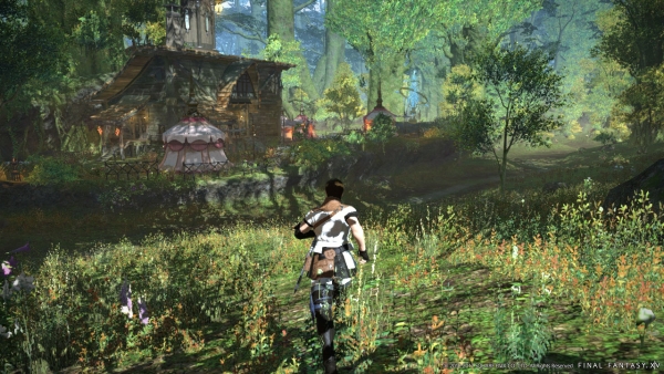 Final Fantasy XIV A realm reborn gráficos