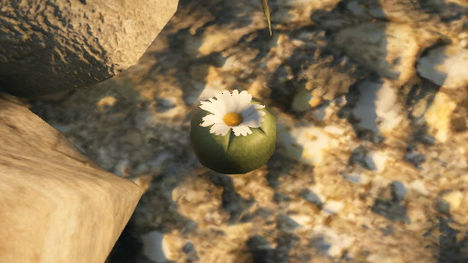 Peyote GTA V Peyote GTA V