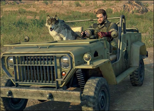 The Phantom Pain
