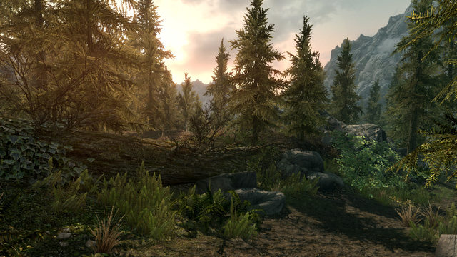 Tamanho de Skyrim Special Edition confirmado por sua produtora 2 skyrim definitive edition
