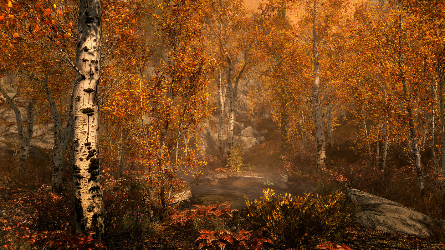 Tamanho de Skyrim Special Edition confirmado por sua produtora 3 skyrim definitive edition