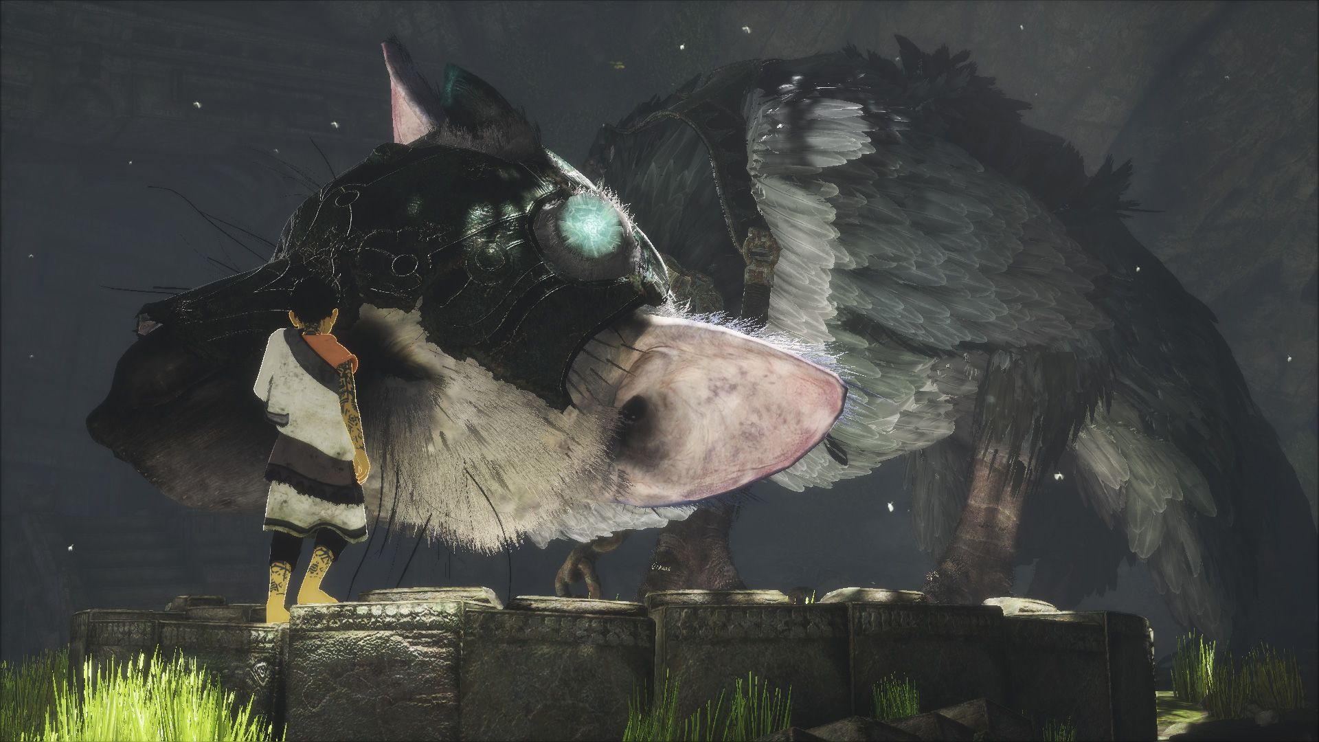 the-last-guardian_1